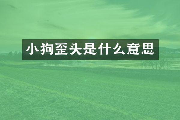 小狗歪头是什么意思