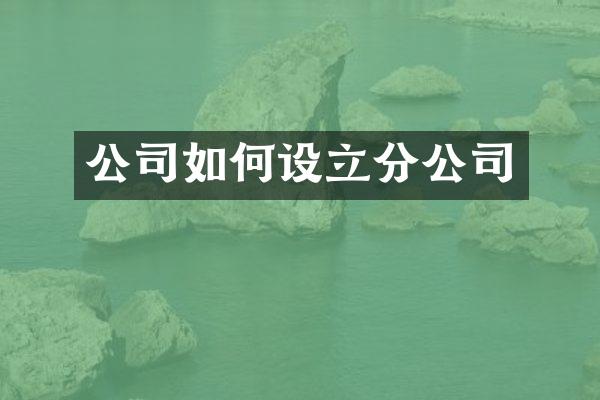 公司如何设立分公司
