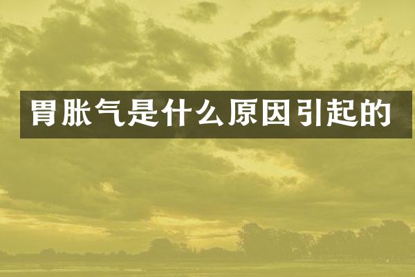 胃胀气是什么原因引起的