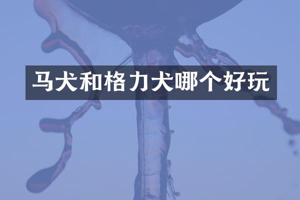 马犬和格力犬哪个好玩