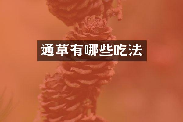通草有哪些吃法