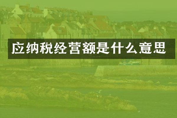 应纳税经营额是什么意思