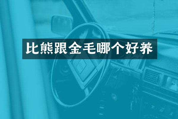 比熊跟金毛哪个好养