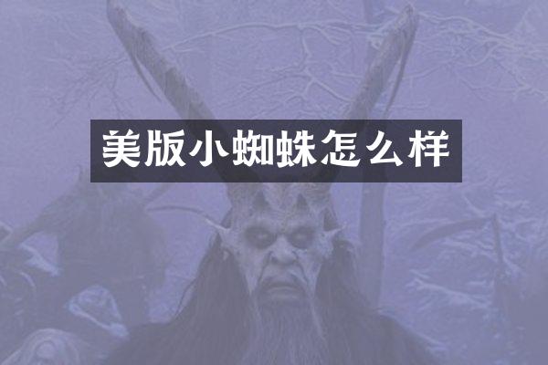 美版小蜘蛛怎么样
