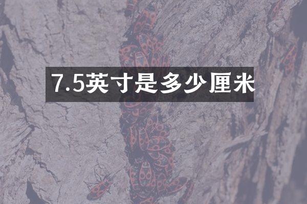 7.5英寸是多少厘米