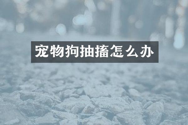 宠物狗抽搐怎么办