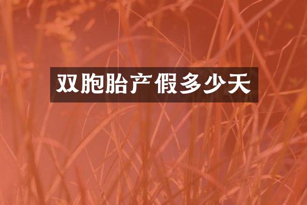 双胞胎产假多少天