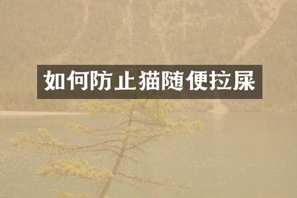如何防止猫随便拉屎