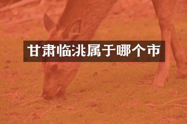 甘肃临洮属于哪个市