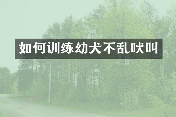 如何训练幼犬不乱吠叫