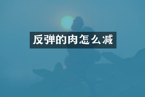 反弹的肉怎么减