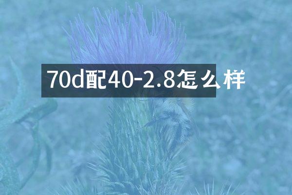 70d配40-2.8怎么样