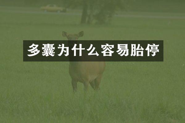 多囊为什么容易胎停