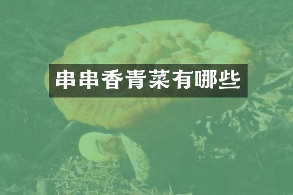 串串香青菜有哪些