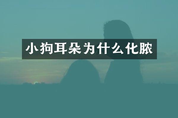 小狗耳朵为什么化脓