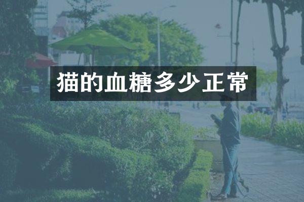 猫的血糖多少正常