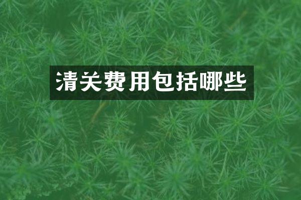 清关费用包括哪些