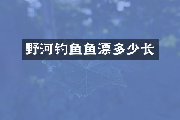 野河钓鱼鱼漂多少长