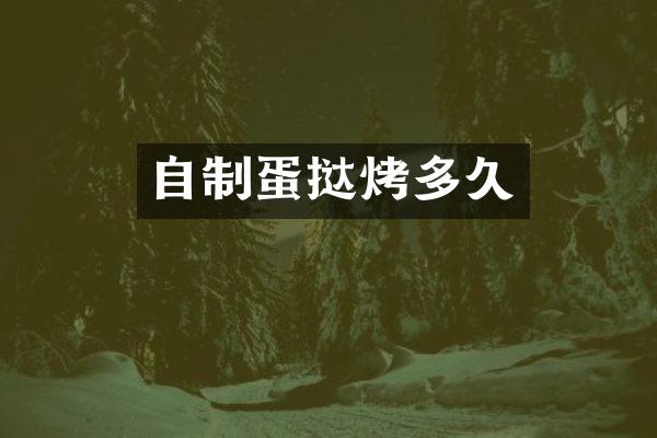 自制蛋挞烤多久