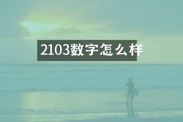 2103数字怎么样