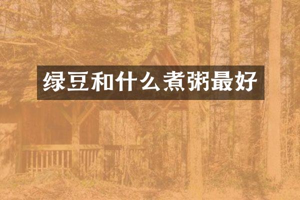 绿豆和什么煮粥最好