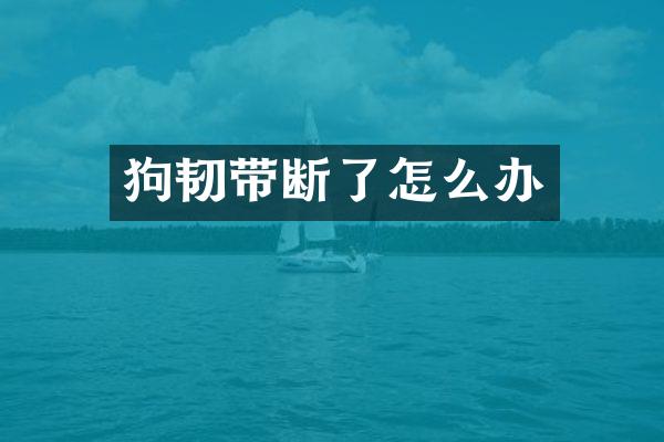 狗韧带断了怎么办