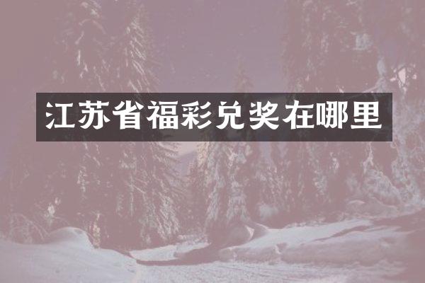 江苏省兑奖在哪里