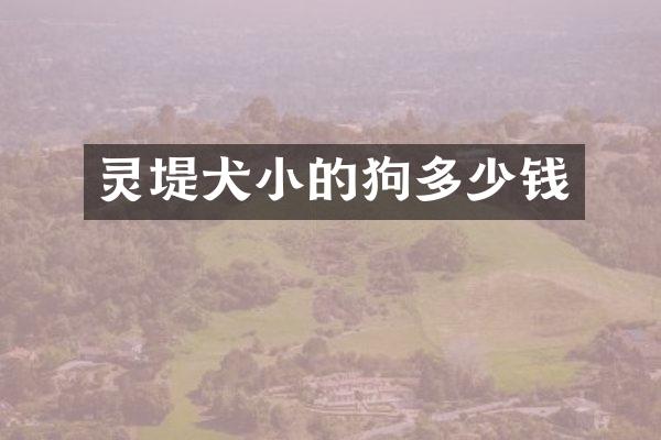 灵堤犬小的狗多少钱