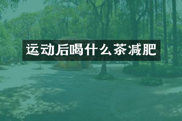 运动后喝什么茶减肥