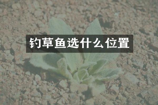 钓草鱼选什么位置