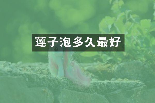 莲子泡多久最好
