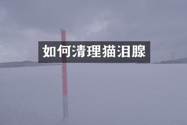 如何清理猫泪腺