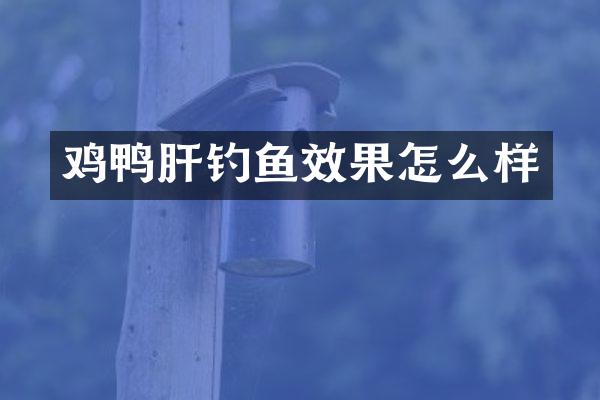 鸡鸭肝钓鱼效果怎么样