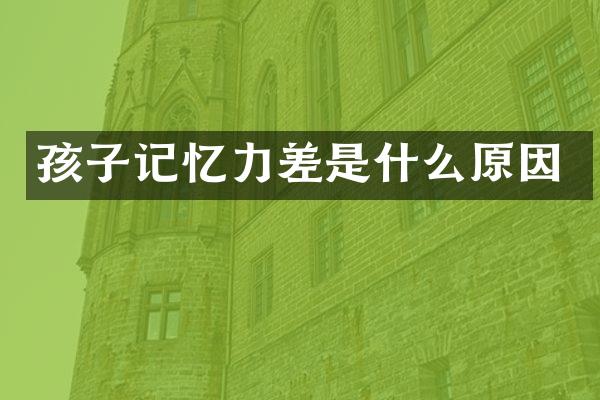 孩子记忆力差是什么原因