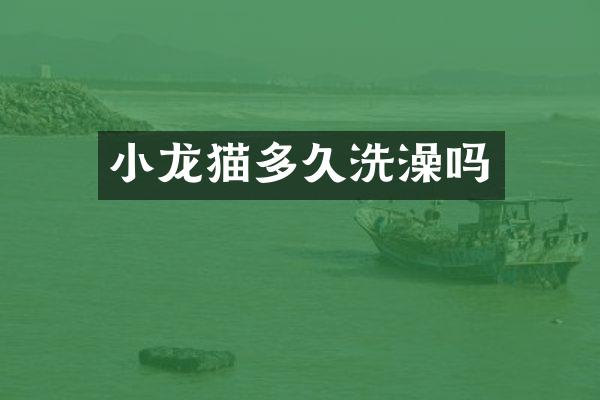小龙猫多久洗澡吗