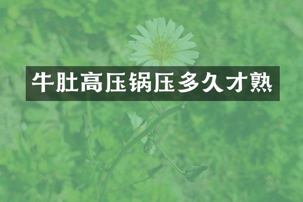 牛肚高压锅压多久才熟