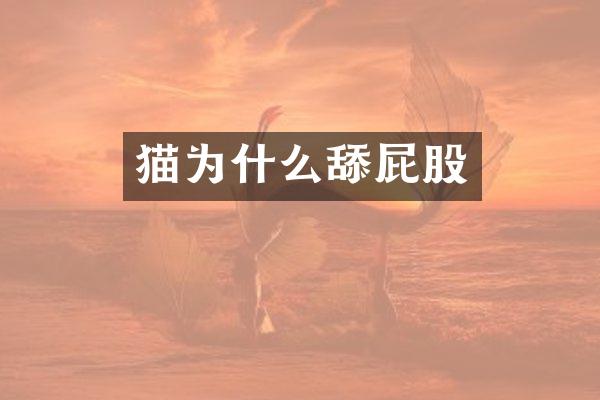 猫为什么舔屁股