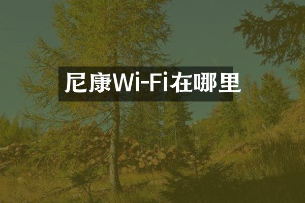 尼康Wi-Fi在哪里