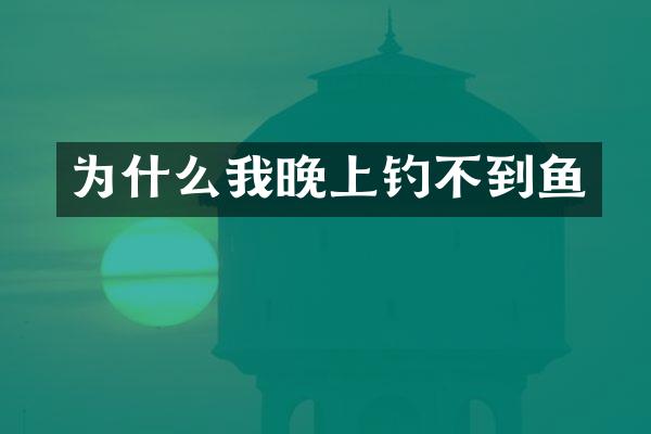 为什么我晚上钓不到鱼