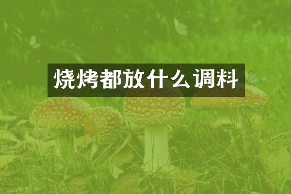 烧烤都放什么调料