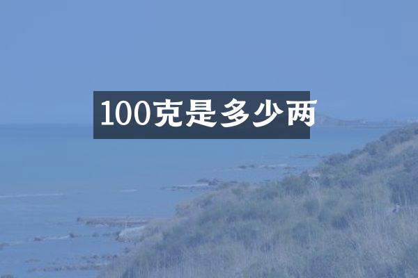 100克是多少两