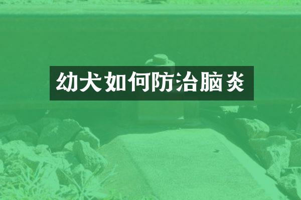 幼犬如何防治脑炎