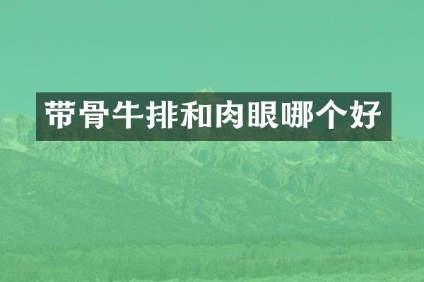 带骨牛排和肉眼哪个好