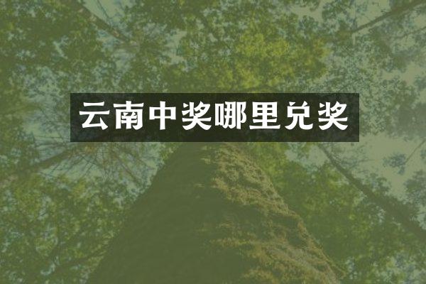 云南中奖哪里兑奖