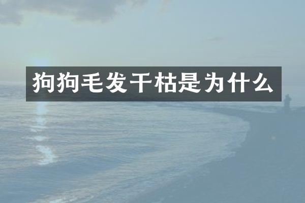 狗狗毛发干枯是为什么