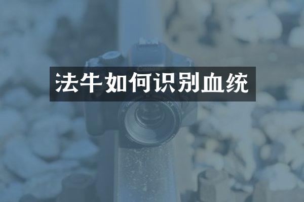 法牛如何识别血统