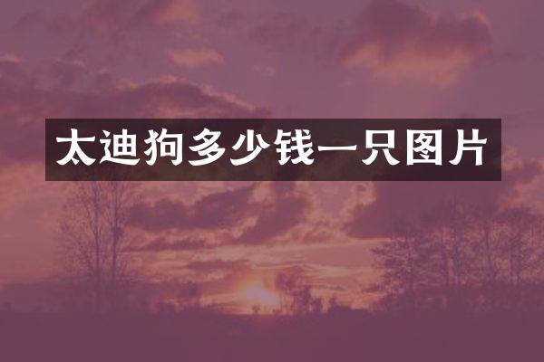 太迪狗多少钱一只图片