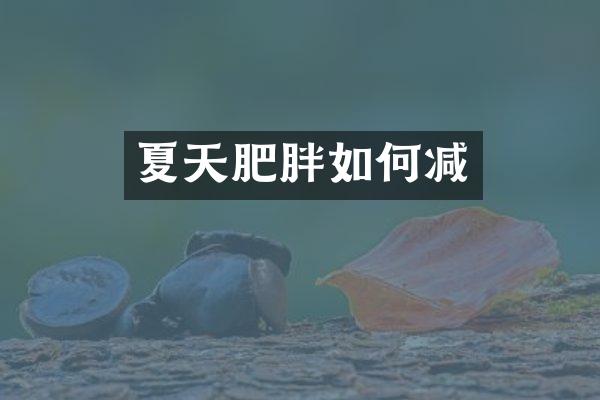 夏天肥胖如何减