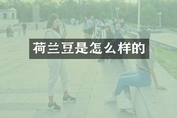 荷兰豆是怎么样的