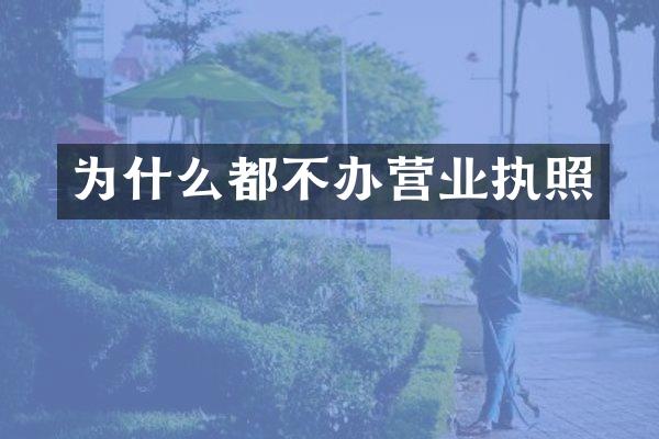 为什么都不办营业执照